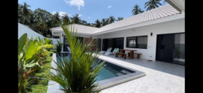 Villa thai palm